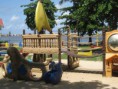 /album/fotogaleria-inicio/imagen-355-jpg1/